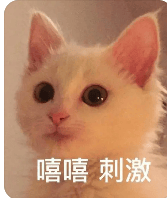 《追风筝的人》：为你，千千万万遍！关于友情、背叛和救赎